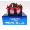 MAGNETO COIL CG125