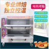 新南方两层电烤箱